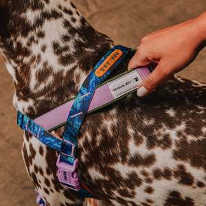Reebok Luxury Sport Dog Harnesses Trekk Softer-Walk Norwegian Plaid Solid Small Medium Polyester Pet Harnesses for Dog <b>Walking</b> - Product Image 3