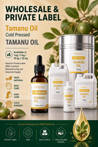 Huile Végétale Pure de Tamanu (Calophyllum Inophyllum) Pressée à Froid en Gros, Marque Privée, OEM, ODM pour le Renouvellement Cutané et les Soins du Visage - Product Image 3