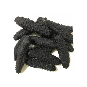 Concombre de mer séché de qualité supérieure (fruits de mer) à vendre au meilleur prix - Product Image 6