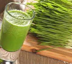 POLVO DE HIERBA DE TRIGO PURO/IMPULSO DE ENERGÍA NATURAL/ETIQUETA LIMPIA/BASADA EN PLANTAS - Product Image 4