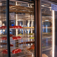 Armoire de maturation professionnelle haut de gamme pour viande de bœuf de restaurant, armoire de maturation à sec de luxe avec contrôle intelligent