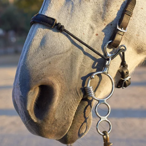 Veterinärmedizinisches Edelstahl-Hackamore mit <span class=keywords><strong>3</strong></span> Ringen, Kombination aus poliertem, glattem Mundstück und Bit – Alle Reitutensilien für Pferde - Product Image 2