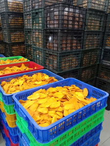 Mangue séchée douce du Vietnam, texture moelleuse délicieuse, tranches dorées, saveur naturelle, vente en gros, exportation en vrac, directement de l'usine - Product Image 2