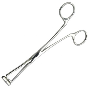 Pinza de Acero Inoxidable para Septum de 6 Pulgadas, Herramienta Profesional para Perforaciones Corporales en Cejas, Orejas, Nariz, Labios, Lengua y Pezones - Product Image 1