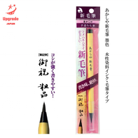 Ensemble de calligraphie japonaise élégant à double pinceau, stylo-plume à pointe flexible, modèle P22-09