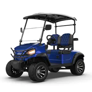 Serviço ODM para carrinho de golfe elétrico de 4 rodas off road, carrinho de golfe exclusivo de marca, 2/4/6/8 lugares