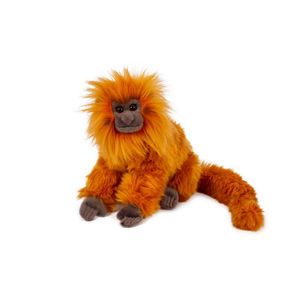 Tamarino Leone Dorato, Edizione Premium - Product Image 1