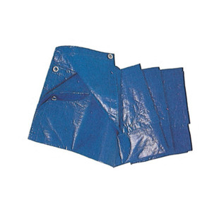 Telone PE Standard con Occhielli Blu 2x3 m 85€ - Product Image 1