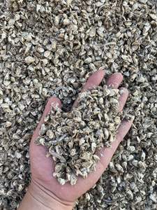 Tête d'anchois séchée de bon goût pour bovins avec bon prix en vrac prêt à expédier - Product Image 5