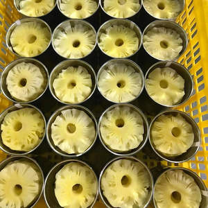 Tranches d'ananas en conserve de qualité supérieure dans un sirop léger pour l'exportation en gros - Product Image 1
