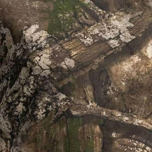 Camisetas de Camuflaje Personalizadas OEM de Alta Calidad, Transpirables, de Manga Corta para Caza, Camisetas de Rendimiento para Caza - Product Image 5