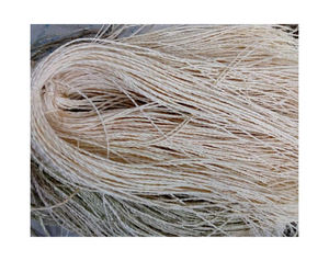 Fibras de sisal de grado UG Blanco/SSUG GRADO 1 FIBRA SISAL Precio de fábrica 1 hilo trenzado de fibra de sisal de 2 o 3 capas - Product Image 1