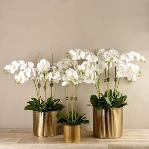 Maceta de Metal de Mesa para Hierbas y Suculentas, Decoración de Interiores de Lujo para el Hogar, Hotel, Restaurante - Product Image 1