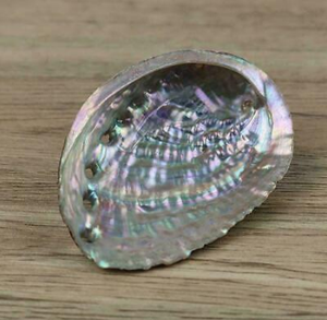 DECORATION GIFTS READY SHIP ORGANIC MATERIAL SEASHELL <b>ABALONE</b> CARVED LARGE QUANTITY RAINBOW LIGHT SAGE SMUDGING ANIMAL THEME - Product Image 3