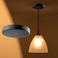 Noir blanc Chrome or plaque de plafond applique murale montage LED Base Vintage suspension lampe disque Base plafond auvent