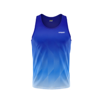 Conjunto de Camiseta Deportiva sin Costuras con Estampado de Color Degradado Personalizable Unisex, Elástica en Cuatro Direcciones, Transpirable y de Secado Rápido