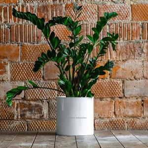 Jardinière de fleurs ronde en métal blanc enduit de poudre fait à la main écologique pour la décoration de la maison et du jardin - Product Image 1