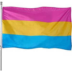 Paquete de 10 Banderas del Orgullo Pansexual de USA TOP FLAGSINC, 3x5 Pies, Banderas LGBTQ Omnisexuales, Colores Vivos, Resistentes a la Decoloración, Doble Costura - Product Image 4