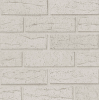 Briques d'argile de qualité supérieure durables pour les façades intérieures et extérieures résistantes au feu