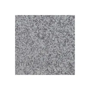 Fabricant en gros direct dalle de granit blanc de haute qualité carrelage design moderne surface polie pour une utilisation au sol dernière arrivée - Product Image 1