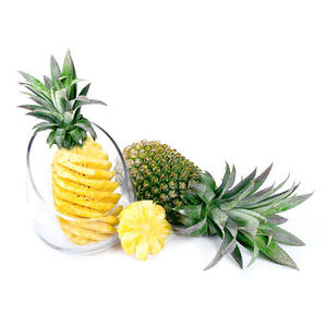 Piña seca suave textura masticable irresistible llena de aroma tropical y sabor a fruta real - Product Image 6