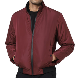 <b>Men's</b> High Street Style Eco-Friendly Anti-Bacterial Breathable Winter Quick Dry Standard Thickness Bomber <b>Jacket</b> Front - Product Image 2
