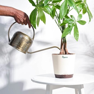 Regadera de Aluminio Galvanizado Dorado Antiguo de Alta Calidad, Hecha a Mano, con Mango, Capacidad de 1.5L para Jardinería al Aire Libre - Product Image 3