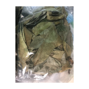 Wholesale Dried Soursop Leaves With High Quality and Best Price From Vietnam for Export With Good Price - Product Image 1