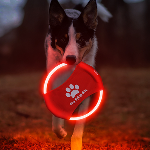 Disco Volador para Perros con Luz LED, Ecológico, Moderno, Juguete Interactivo para Mascotas con Múltiples Modos de Iluminación para Entrenamiento al Aire Libre - Product Image 3