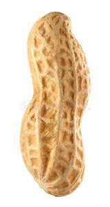 ถั่วลิสงอบกรอบคุณภาพสูง รสเค็ม ไม่มีเปลือก บรรจุสุญญากาศ - Product Image 5