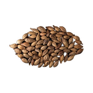 Premium SPDK Agrosfera Chebulic Myrobalan Fruta seca entera Región montañosa Western Maharashtra India Agricultura Hpan-Khar-Thee - Product Image 2