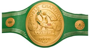 Cinturón de Campeonato de Boxeo Personalizado con Correa de Cuero, Accesorio Duradero para Eventos de Lucha - Product Image 3