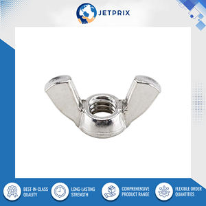 Jetprix International, Proveedor Indio, Alta Calidad, Venta al por Mayor, Fijaciones de Alta Resistencia, Tuerca de Mariposa de Acero Inoxidable - Product Image 2