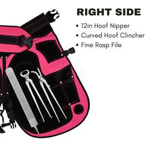 Kit de Herrador Personalizado, Delantal de Cuero de Seguridad, Pinzas, Extractor de Clavos y Lima de Doble Cara para Acabado de Cascos, Acero Inoxidable - Product Image 5