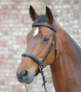 Bride Snaffle - Product Image 5