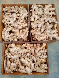 Vente en gros de gingembre frais chinois séché biologique Gingembre certifié GAP biologique à usage alimentaire - Product Image 4