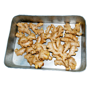 Gingembre frais biologique certifié Qualité supérieure Nouvelle culture Racine de gingembre chinois 100% Gingembre naturel conventionnel et biologique - Product Image 2