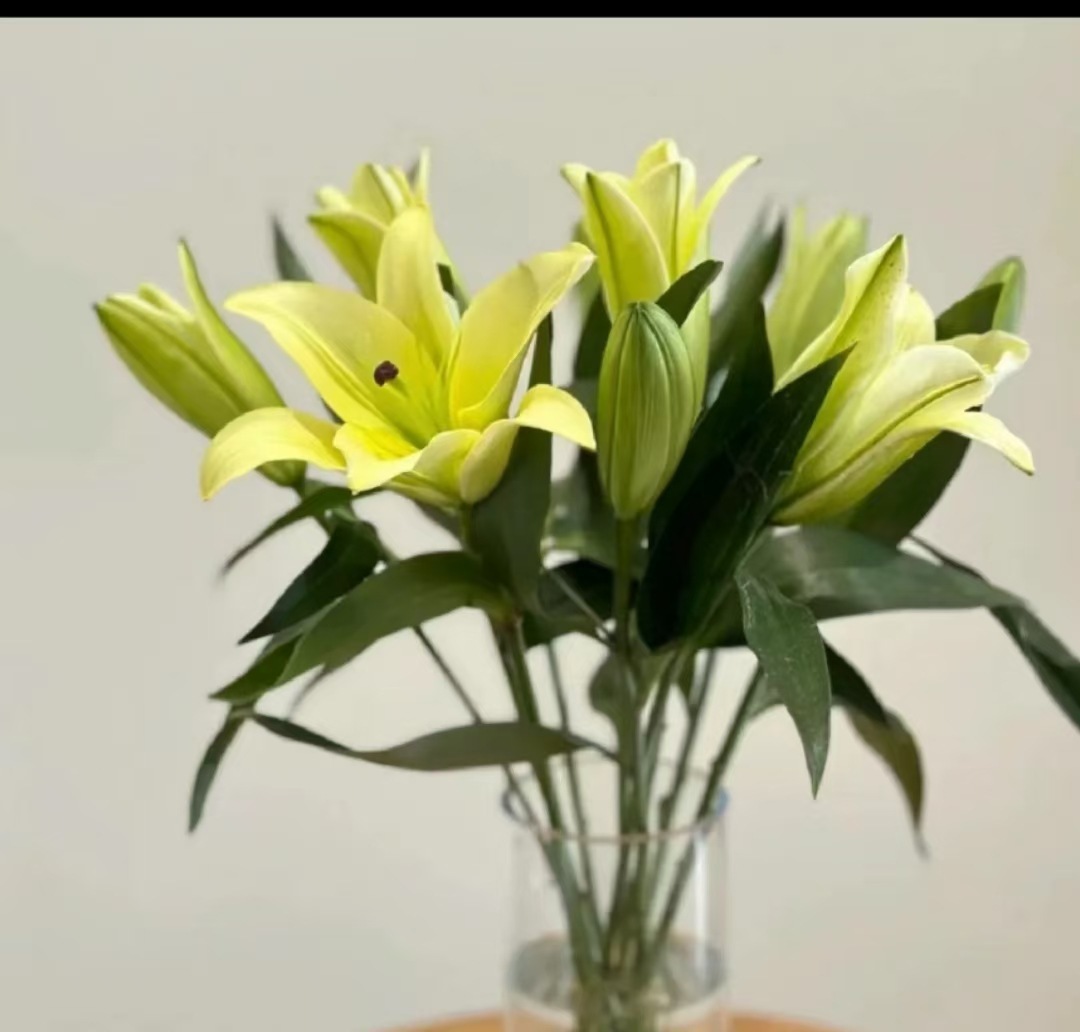 Fleur triple de lys jaune