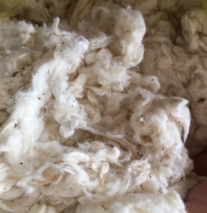 100% residuos de fibra de algodón blanco crudo lickerin tarjeta Fly | tira plana hilado molino de algodón residuos mejor precio listo para enviar _ Sra. Min - Product Image 3