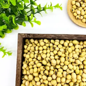 Agriculture Soya Beans High Protein Yellow Soybeans GMO Soybeans