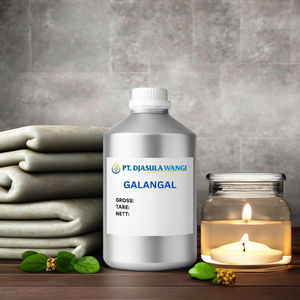 Huile Essentielle de Galangal 100% Pure 5kg Vente en Gros Approvisionnement Direct du Fabricant Vietnamien OEM & Marque Privée Disponibles - Product Image 3