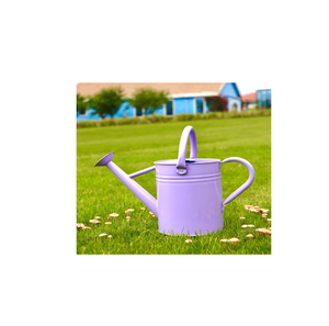 Caña de agua decorativa de metal Diseño clásico Venta caliente popular Lata de agua de metal Precio asequible con venta - Product Image 6