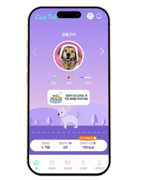 smart pet collar with health monitoring