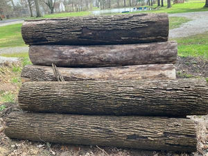 Bûches de Frêne Blanc Allemand Premium Grade A Diamètre 35cm+ Pour Placages de Meubles et Constructions Haut de Gamme Vente en Gros et Approvisionnement en Vrac - Product Image 2