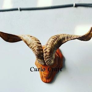 Cuerno de búfalo genuino de alta calidad montado en una base de madera resistente para obras artísticas o decoración de mesa de oficina única - Product Image 3