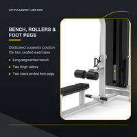 Máquina de Polea Horizontal y Remo Vertical con Pila de Pesas de 100 kg, Equipo de Gimnasio para Fortalecimiento de Espalda