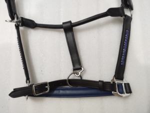 Adeefa EnterpriseBlue Padding avec cristaux bleus pour licol en cuir avec attaches en acier inoxydable pour chevaux. - Product Image 3