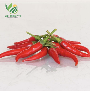 พริกเวียดเธียนฟู-เกรดพรีเมียม แปรรูปแช่แข็งแบบ LQF พริกสดแช่แข็ง 100% จากธรรมชาติ รสเผ็ดและมีกลิ่นหอม สำหรับส่งออกและจำหน่ายจำนวนมาก - Product Image 2