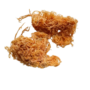 {LOS MEJORES PRODUCTOS DE 2025} CALIDAD PREMIUM Y POPULAR EN ASIA (VIETNAM) APOYAN SU SALUD - Product Image 5