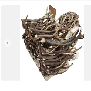 เขากวางแดงเขากวางหางขาวเขากวางแดงทั้งตัว - Product Image 1